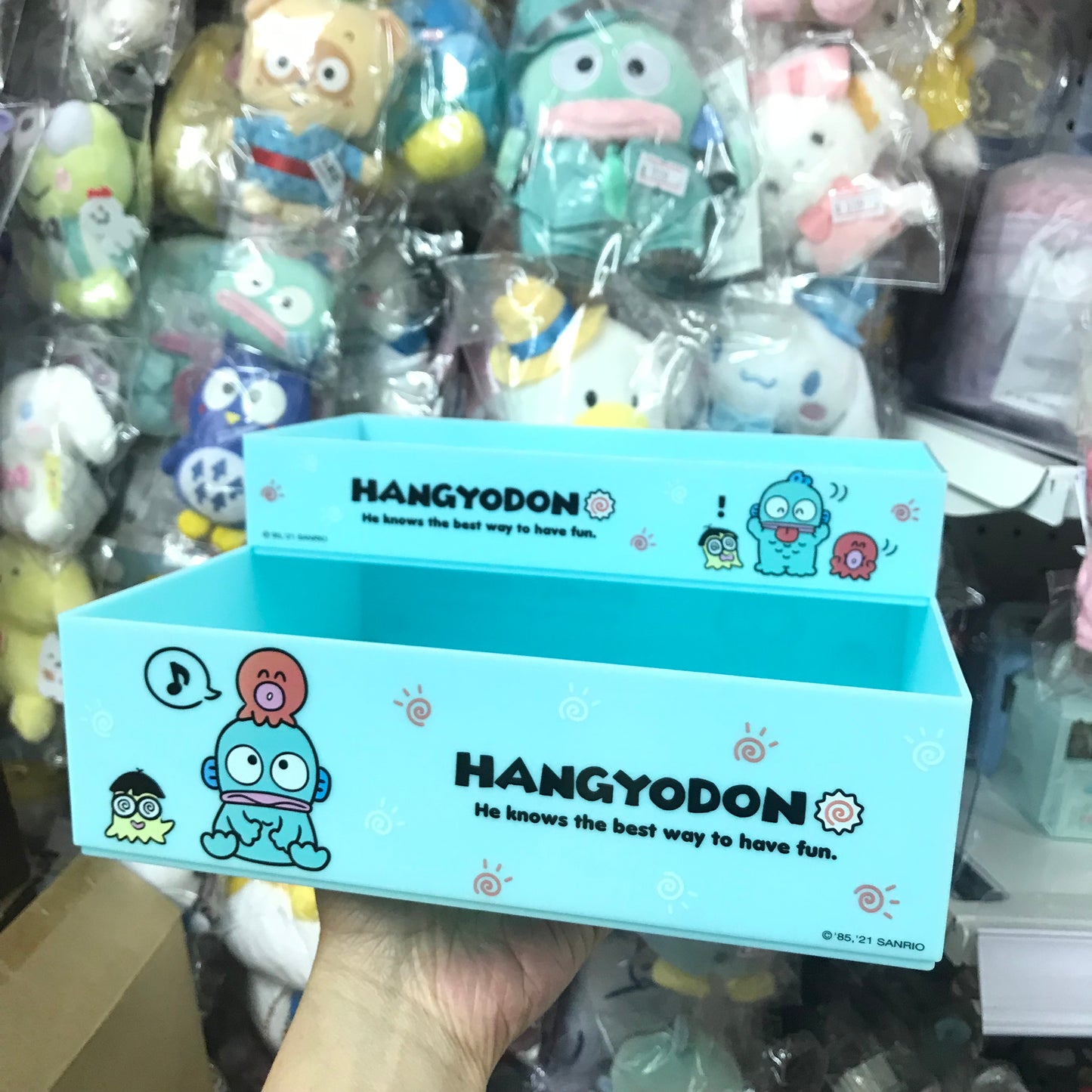 Hangyodon 置物盒