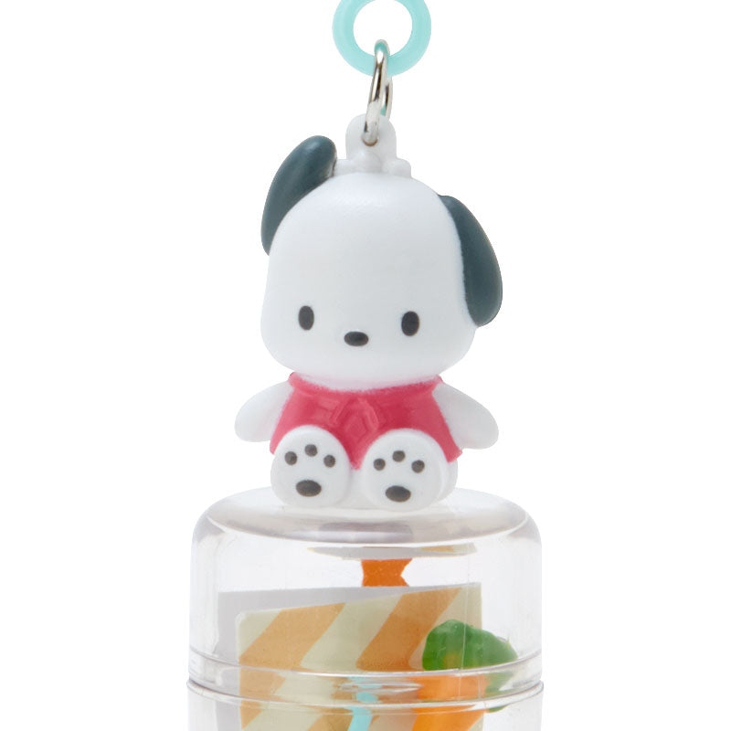 Pochacco 盒裝髮夾